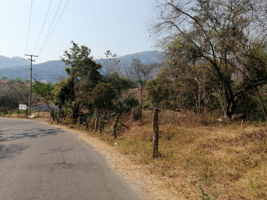 OME Otros terrenos invadiendo (1)