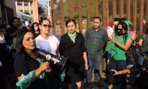 PRINCIPAL DIPUTADAS QUE PRESENTARON LA INICIATIVA