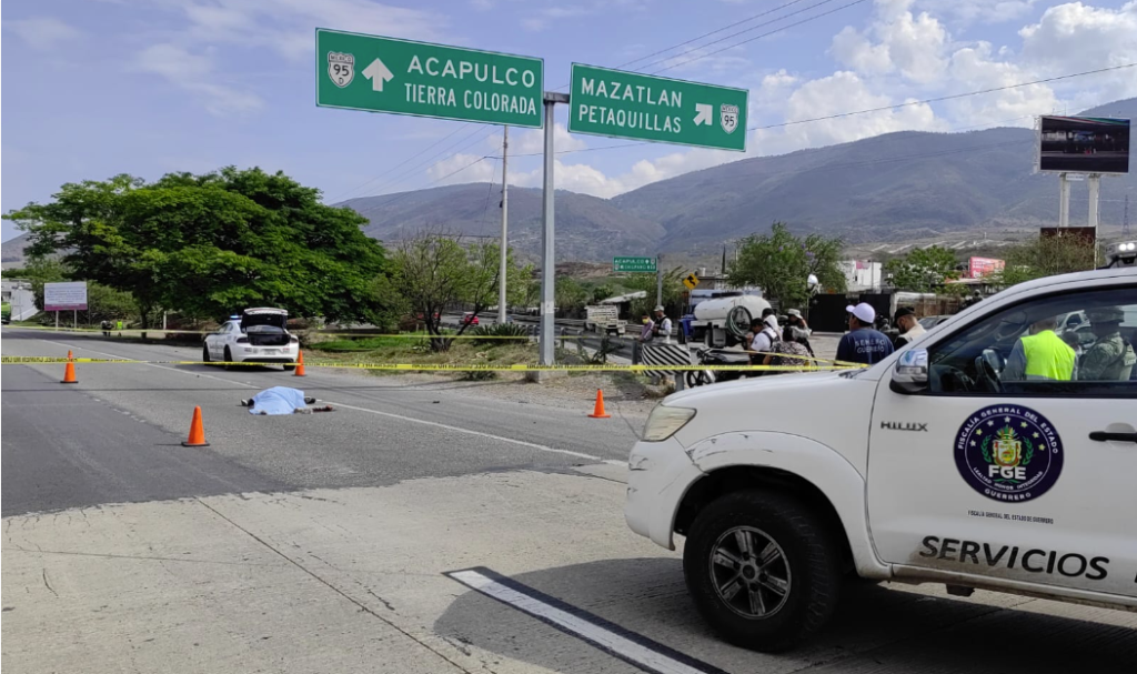 ROJA ATROPELLADO AUTOPISTA