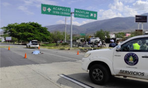 ROJA ATROPELLADO AUTOPISTA