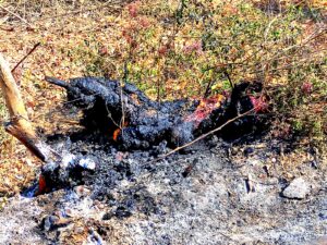 ROJA CUERPO CALCINADO ENCONTRADO EN AZOYÚ