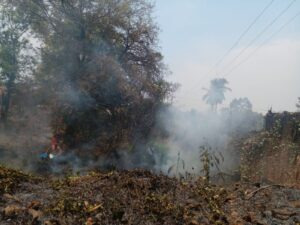 ROJA EL INCENDIO (2)