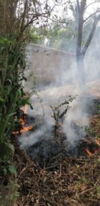ROJA El incendio (1)