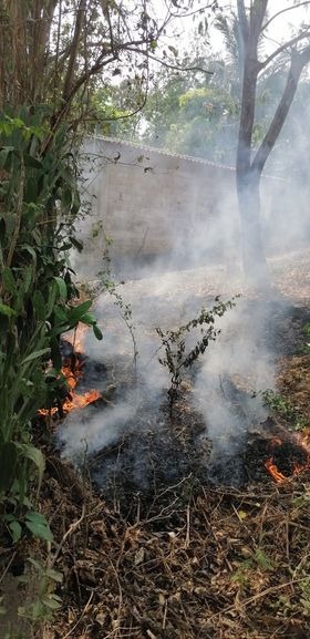 ROJA El incendio (1)