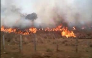 ROJA INCENDIO EN RANCHO RIVERA (1)