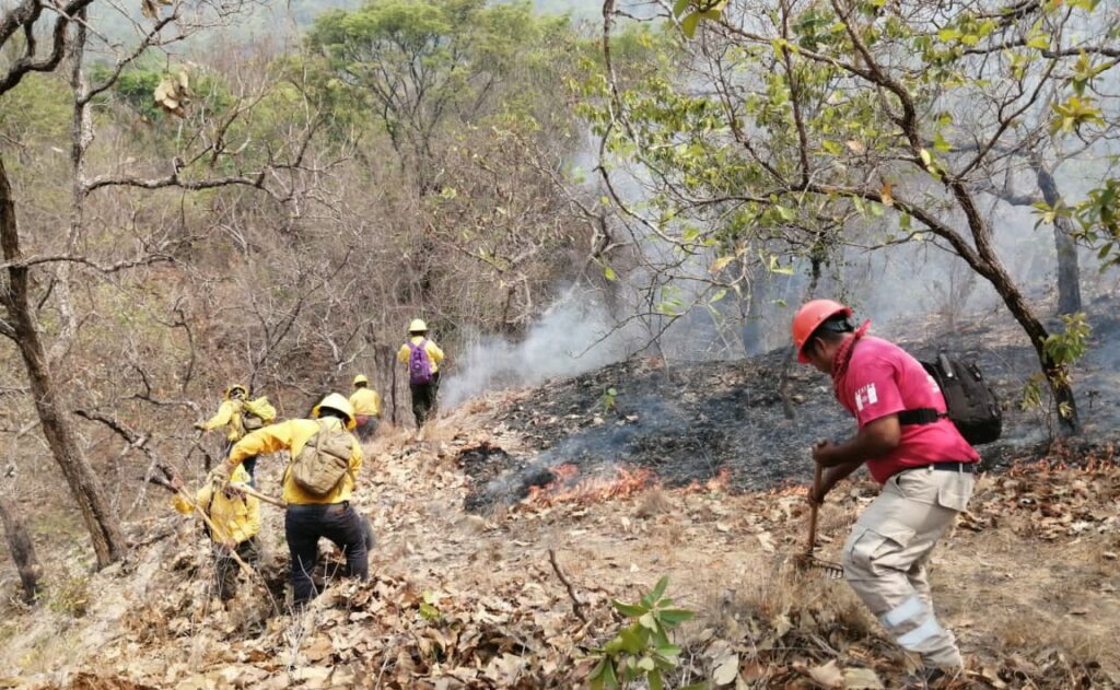 SAN LUIS COMBATIENDO EL INCENDIO (1)