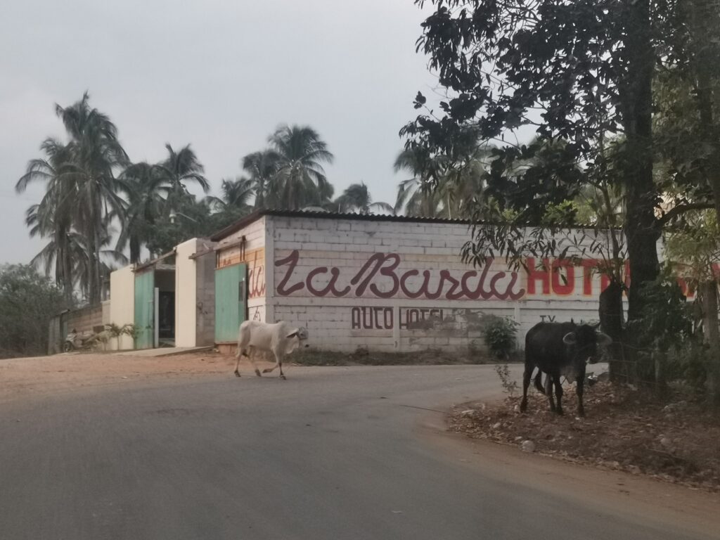 SAN LUIS LAS RESES EN LA CURVA