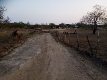SAN MARCOS La construcción de la calle (2)