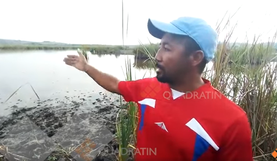 copala laguna 1