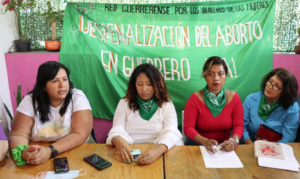 estado feministas