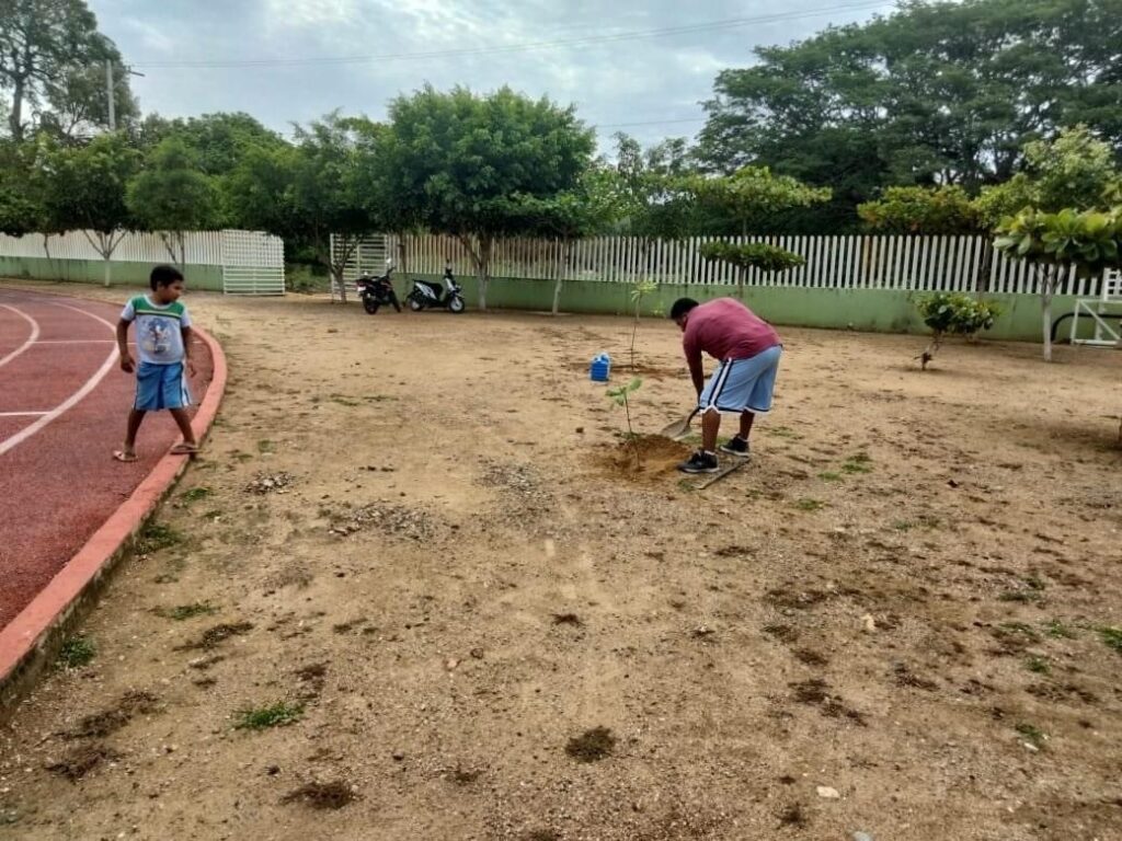 BOLETÍN OME CAMPAÑA REFORESTACION