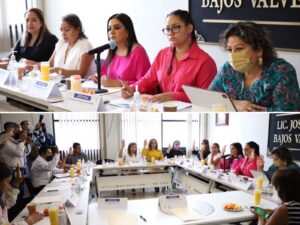 CONGRESO LEYES VIOLENCIA