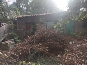 MARQUELIA EL PREDIO (1)