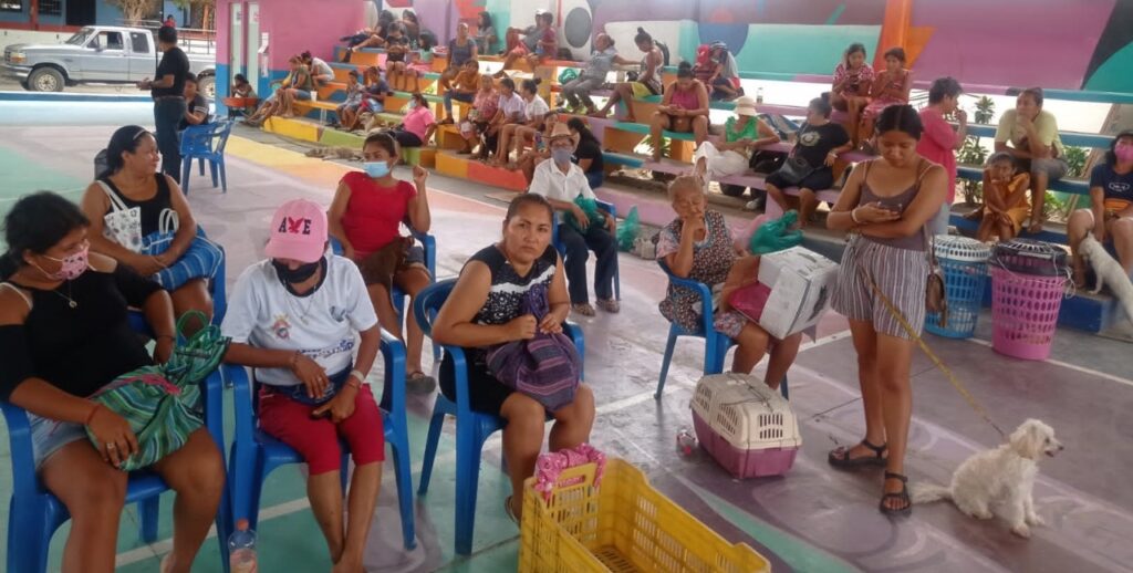 Marquelia La campaña fue un éxito