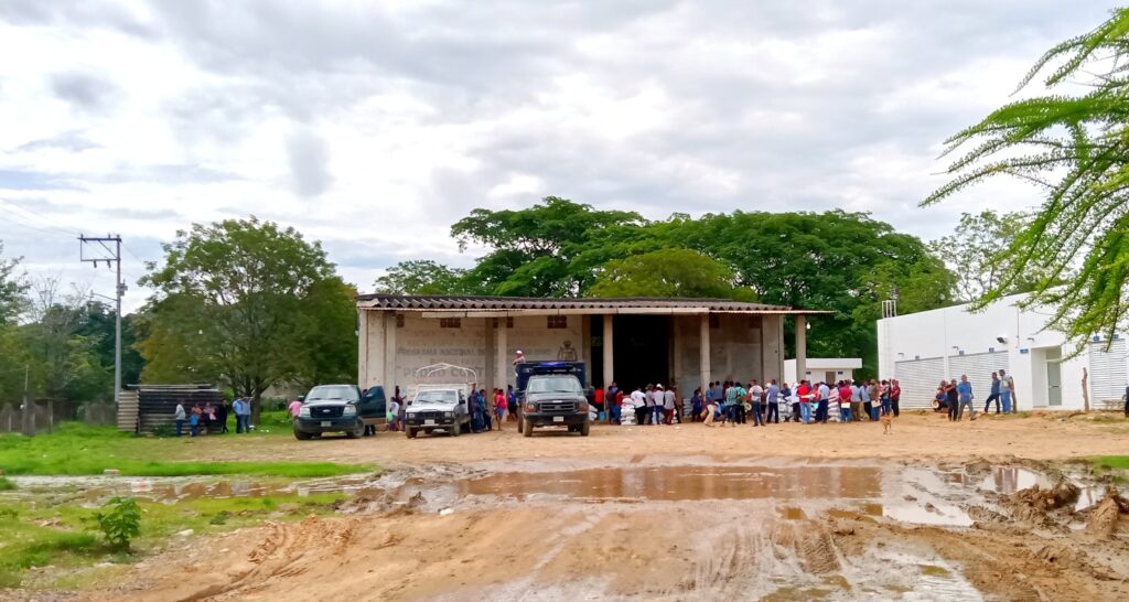 SAN LUIS PRODUCTORES DE YOLOXÓCHITL