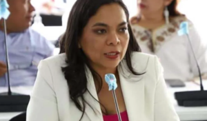 CONGRESO BETY AFROMEXICANOS