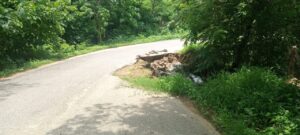 CUAUTEPEC HOYANCO