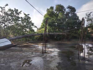 Marquelia Palma cae encima de cables (2)