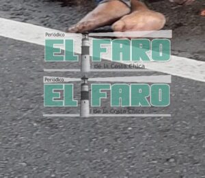 ROJA EJECUTADO EN LA VENTA (1) - copia