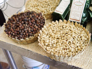SAN LUIS CAFETALEROS (2)