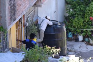 estado dengue (2)