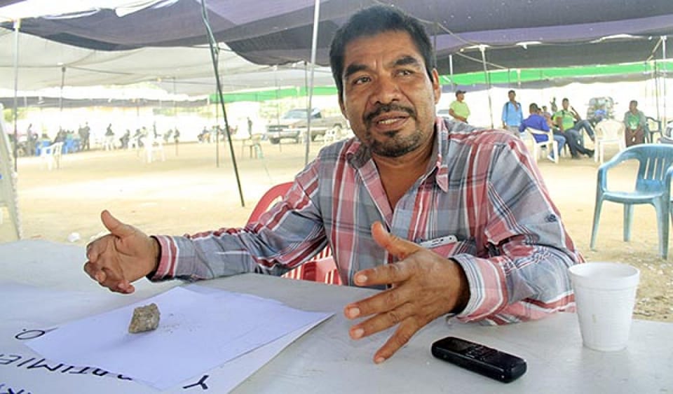 principal BRUNO PLACIDO