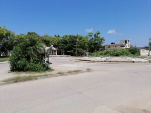 OME LA HIERBA EN EL CAMPO AEREO (2)