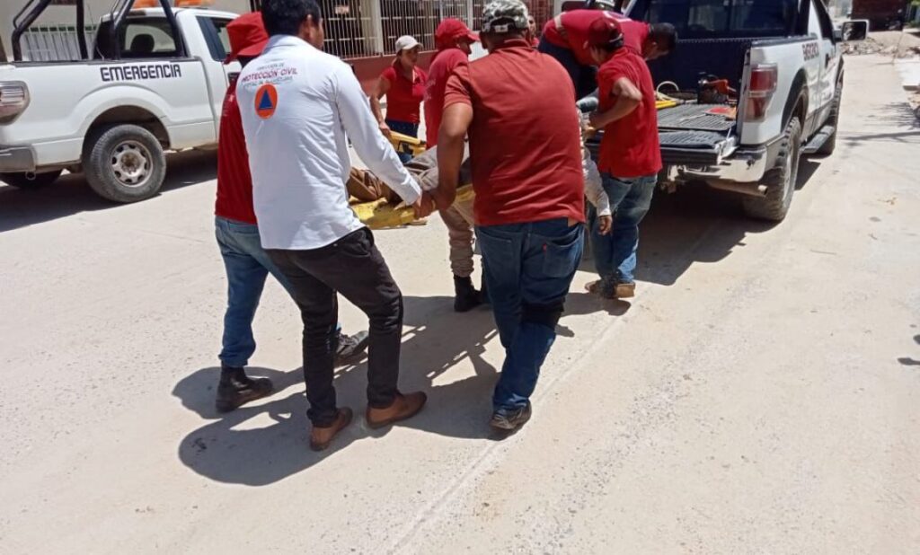 ROJA QUEDO ATRAPADO