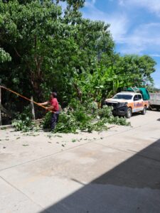 SAN LUIS PERSONAL DE PROTECCION CIVIL DERAMANDO ARBOLES (2)