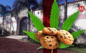SOCIALES GALLETAS DE MARIHUANA