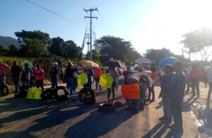 TECOANAPA BLOQUEO (3)