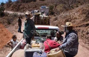 estado desplazados