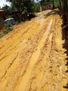 IGUA LA CALLE LLENA DE LODO (1)