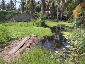 Marquelia El agua se encuentra estancada en un terreno baldío
