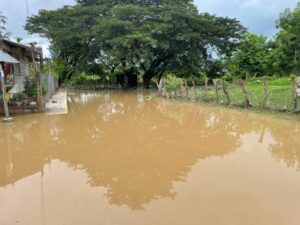 OME Charco de la puerta (2)