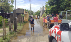 PRINCIPAL DAÑOS EN 15 MUNICIPIOS 1 (2)