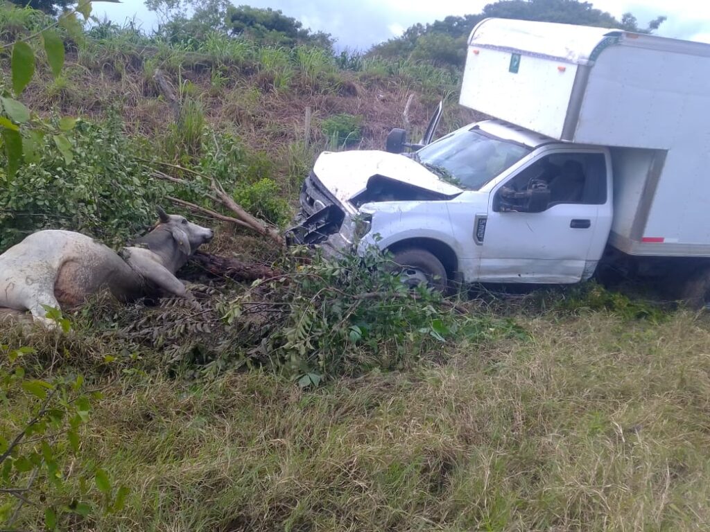 ROJA Camioneta junto al toro