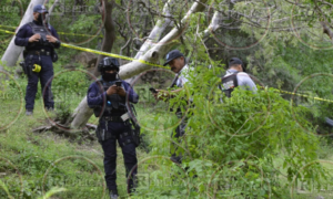 ROJA MUERTO ZUMPANGO