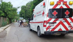 roja matan a recolector de basura