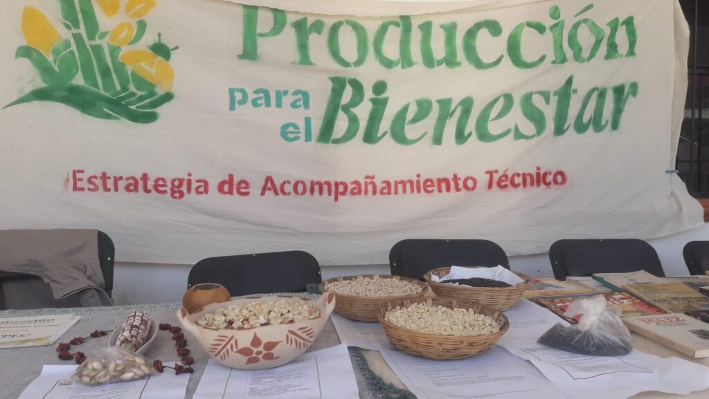 BOLETÍN OME Celebración del Día Nacional del Maíz (3)