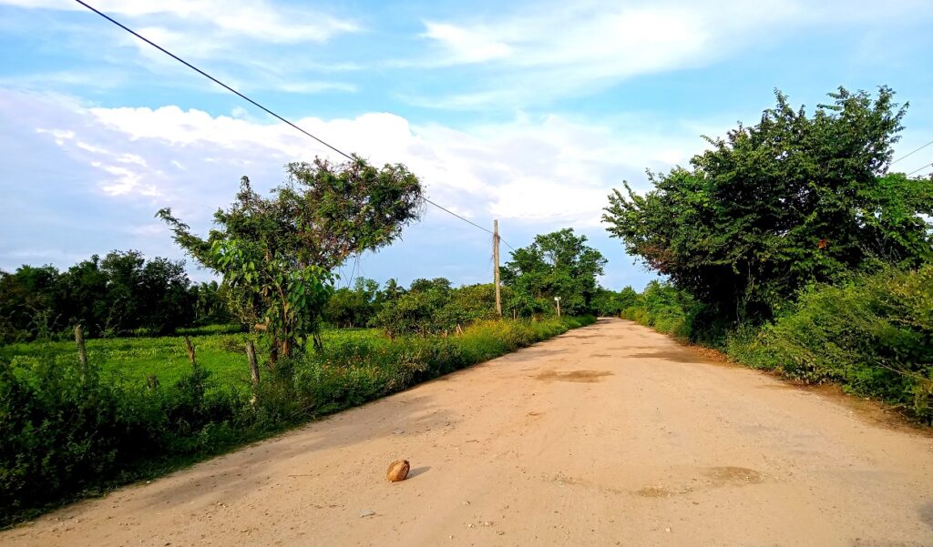 CRUZ GRANDE Así luce la carretera (3)