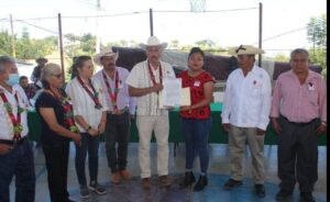 ESTADO NUEVO MUNICIPIO (1)