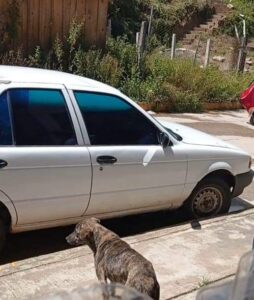 ROJA EL AUTO ROBADO (2)