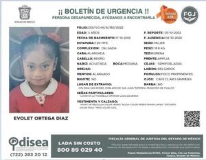 ROJA EL BOLETIN DE LA NIÑA