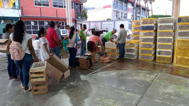 BOLETÍN OME ENTREGA DE POLLITAS PONEDORAS (2)
