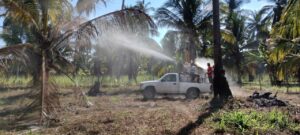 COPALA Trabajos de fumigación (2)