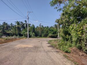 Marquelia Carretera en mal estado (2)