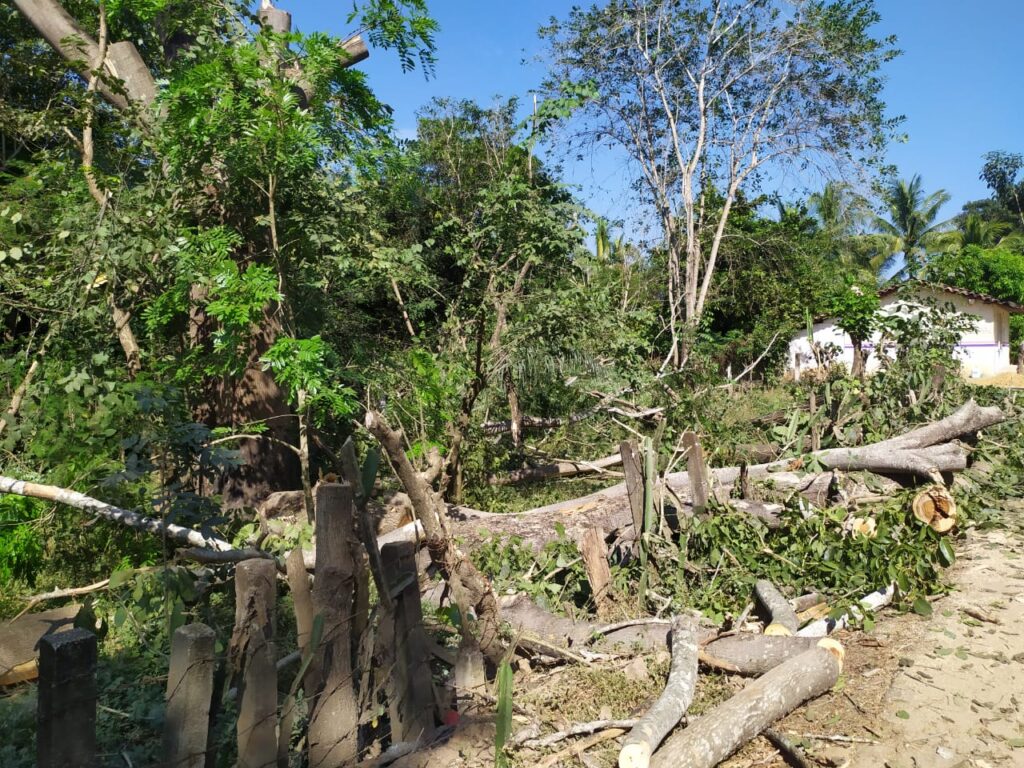 SAN LUIS DAÑOS OCASIONADOS (3)