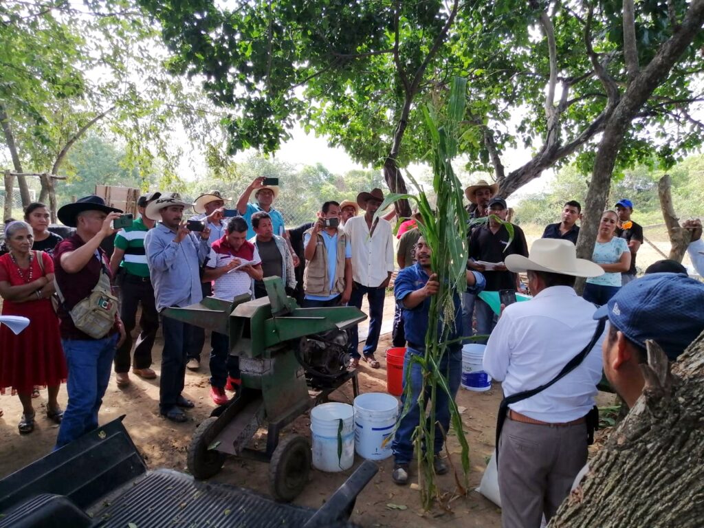 TECOANAPA CAPACITACIÓN (2)