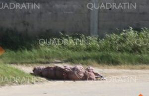 roja encobijado